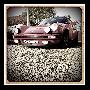 Photo 2010-2013 - Carrera 3.0 1977_680.jpg